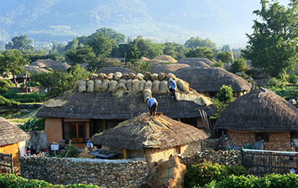 낙안읍성의 초가집들의 모습과 지붕위에 사람들이 지붕보수를 하고 있는 이미지